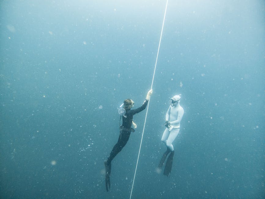 Scientists Discover New Species in Deep Ocean Ecosystems
