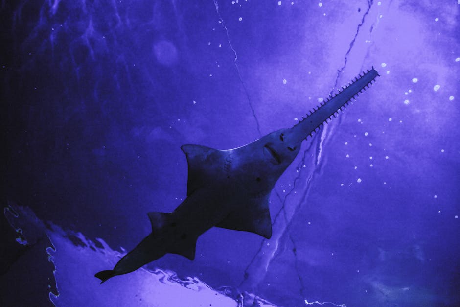 Scientists Discover New Species in Deep Ocean Ecosystems