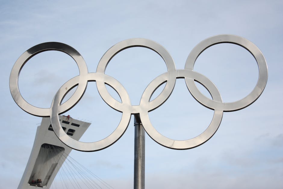 Olympic Committees Announce New Sports Additions for Upcoming Games