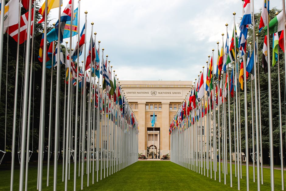 Governments Deepen International Cooperation to Address Global Security Challenges